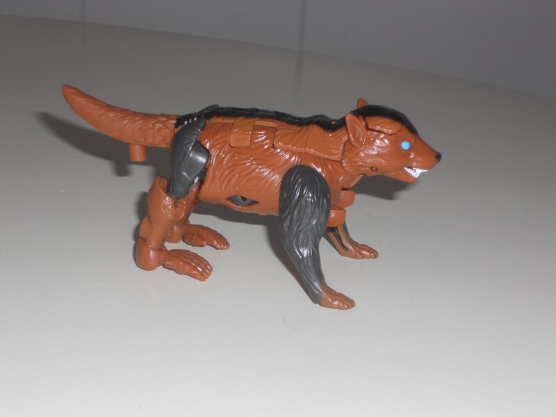 Image Of Core Class Tasmania Kid In Hand From Transformers Legacy United  (22 of 28)